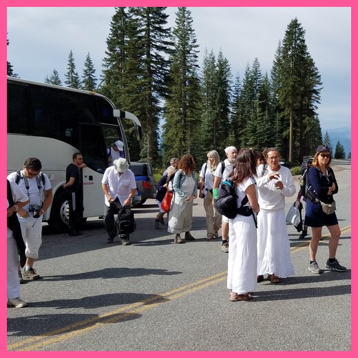 Mystic Mountain Tours of Mt Shasta & Bus Tour Bunny Flats